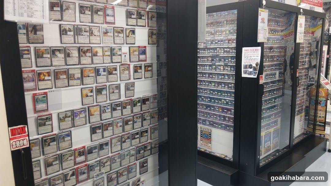 Card Game Collection Display