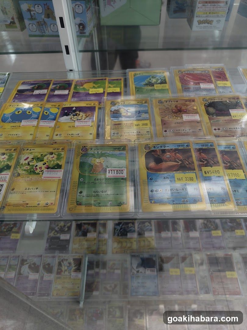 Pokemon Card Display Case