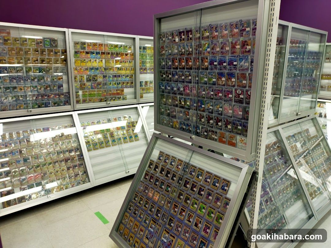 Card Collection Display