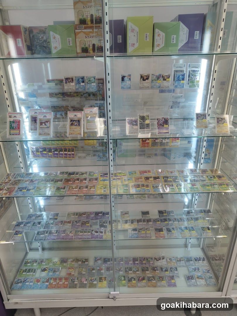 Card Display Cabinet