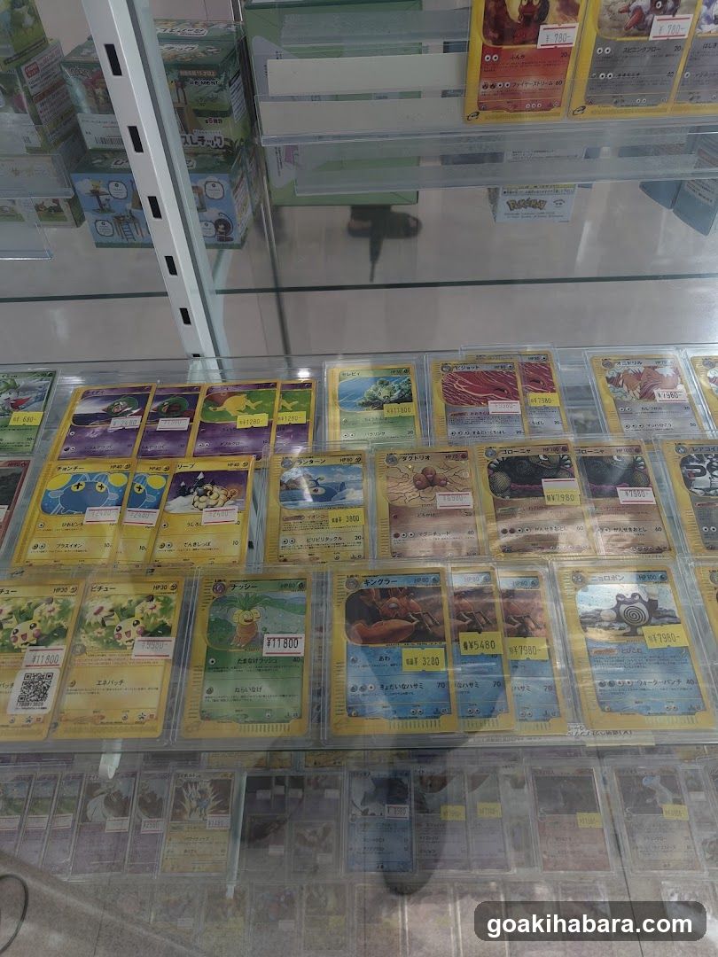 Pokemon Card Display Case