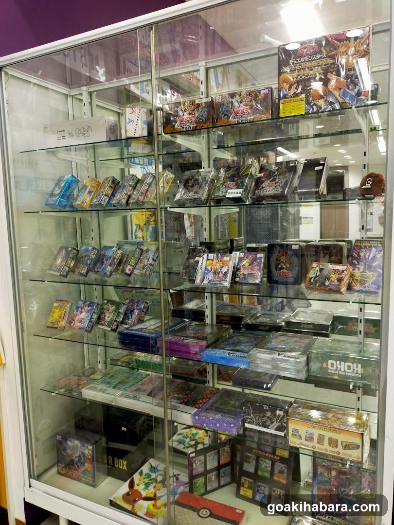 Card Game Display Case