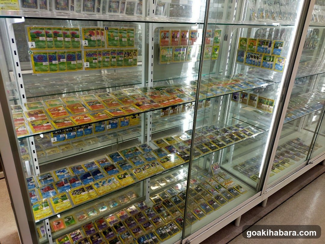 Collectible Card Display Case