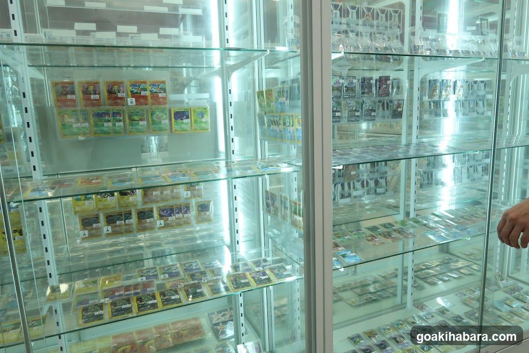 Card Display Case