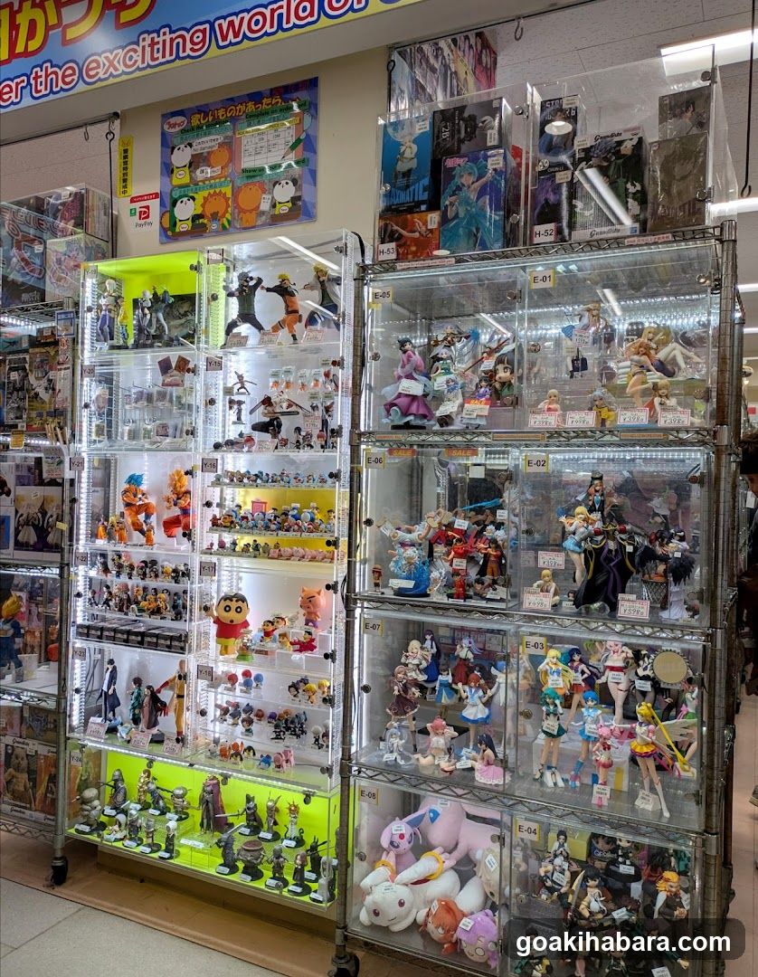Toy and Figure Display Shelf
