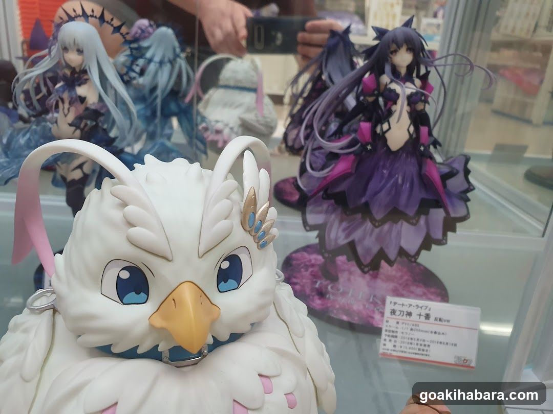 Figure display case