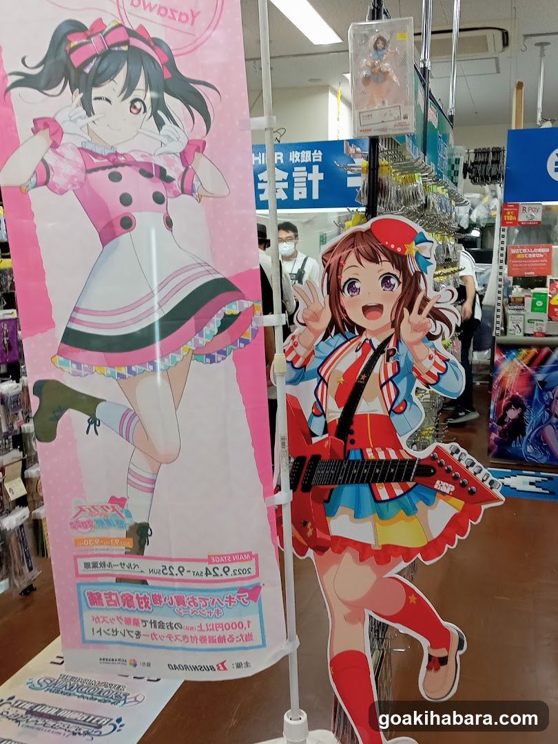 Anime Merchandise Display