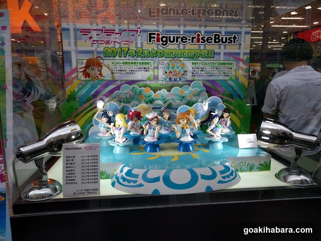 Figure-rise Bust Display