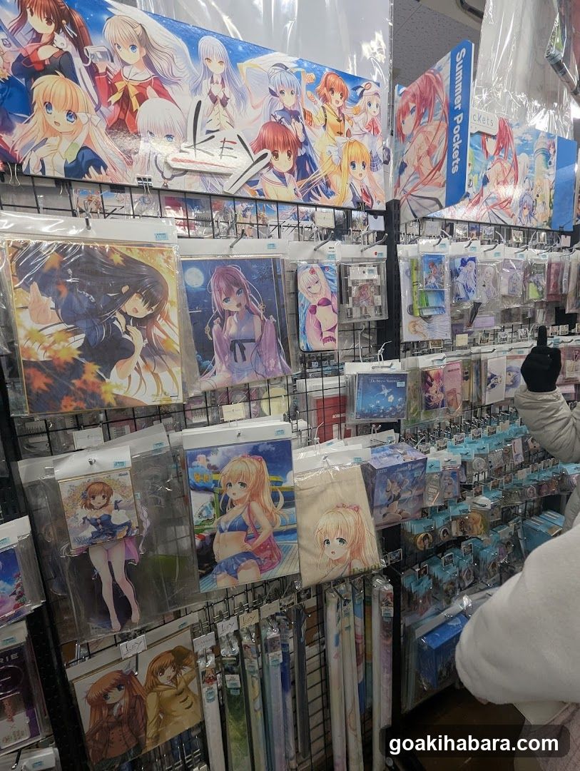 Anime Merchandise Display