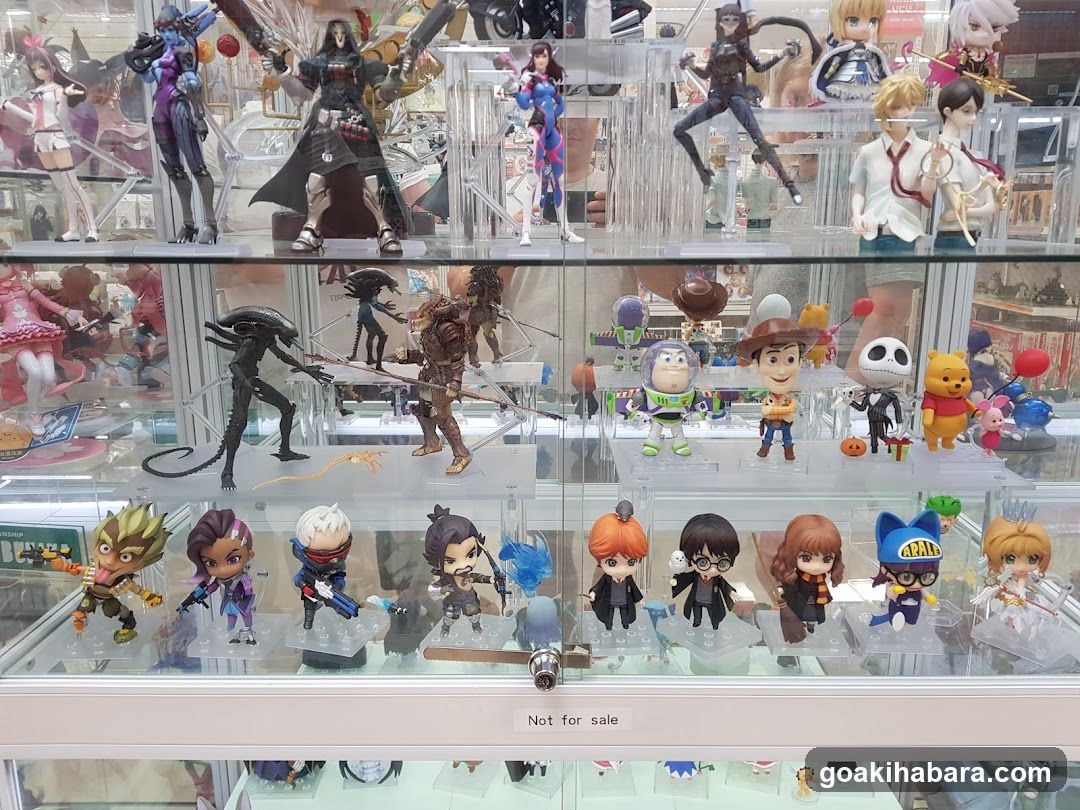 Collectible Figure Display Case