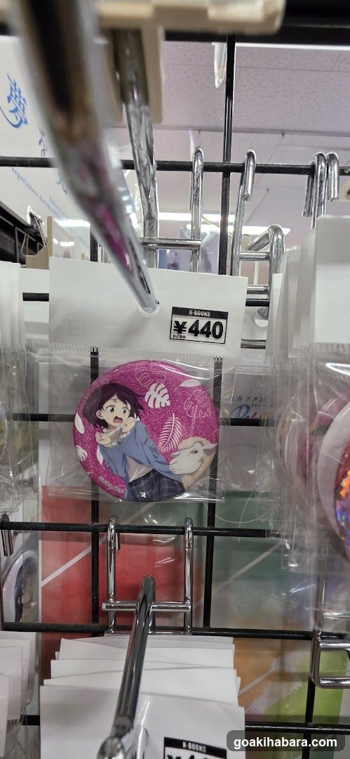 Merchandise Display