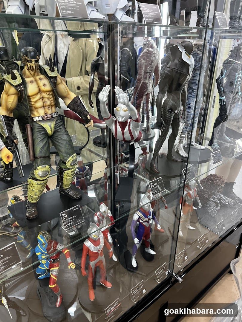 Collectible Figure Display Case