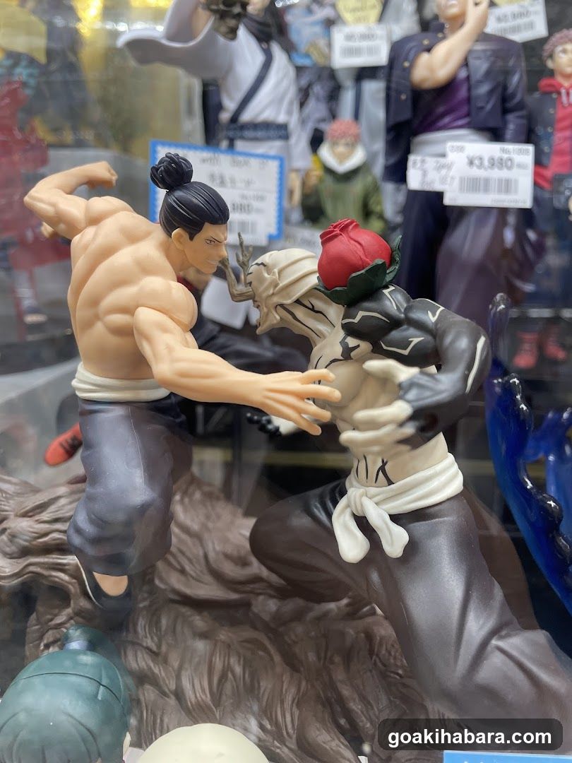 Anime Figure Display