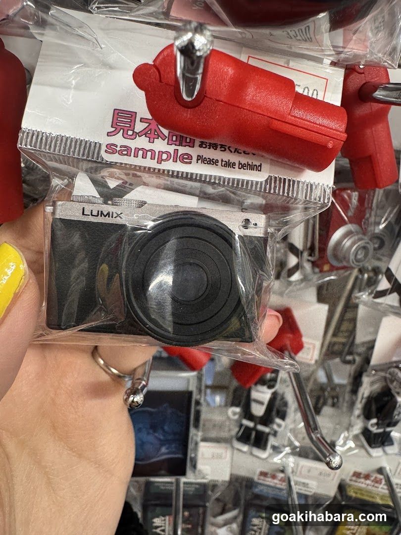 Sample Camera Display