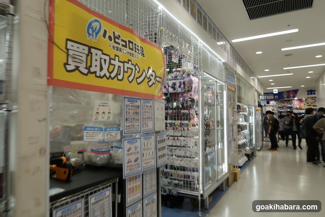 Auction Counter Display