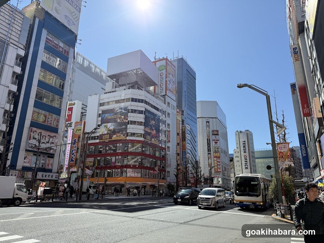 Urban Street Scene with Shops and Buildings