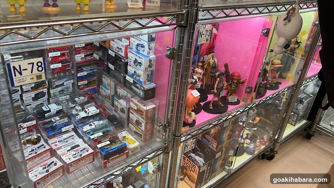 Collectibles Display Case