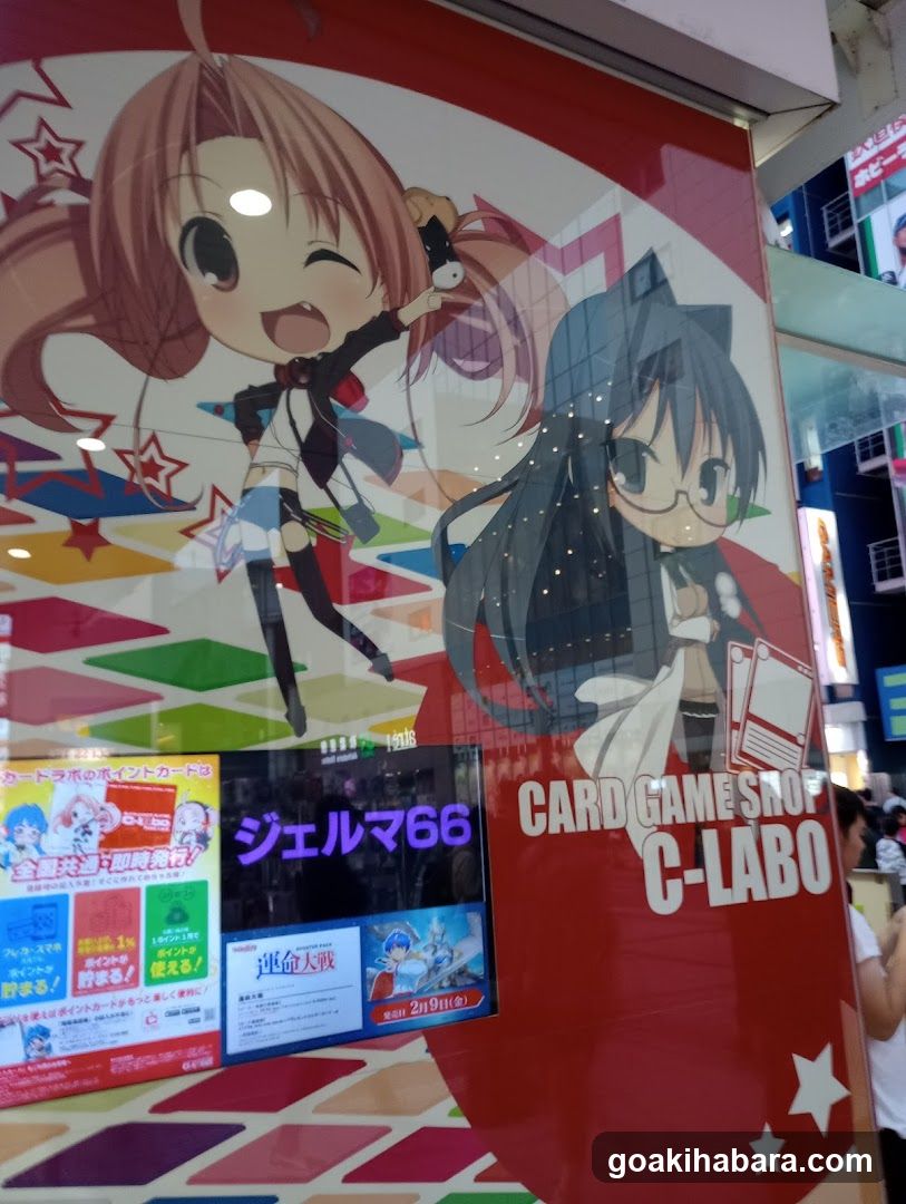 C labo