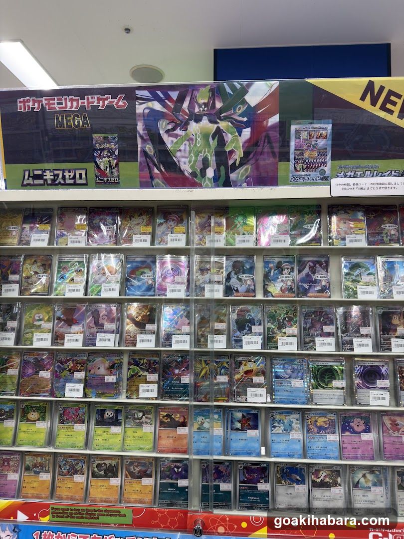 Pokemon Card Game Display