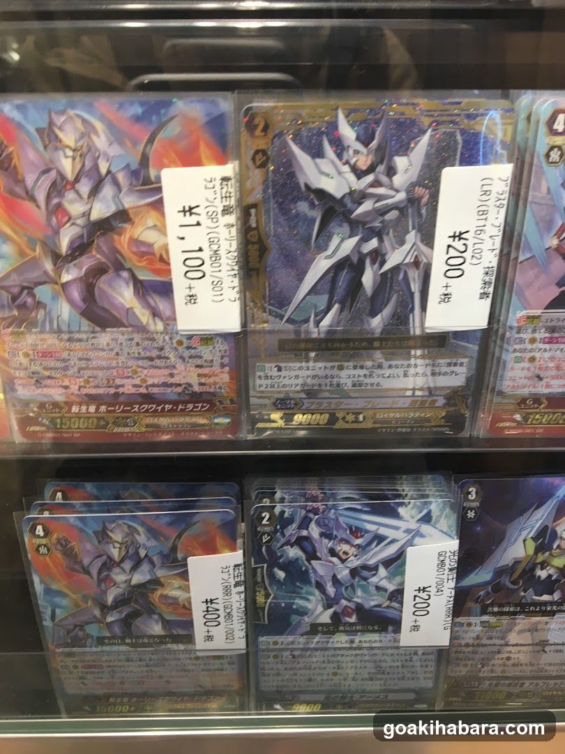 Trading Card Game Display Case