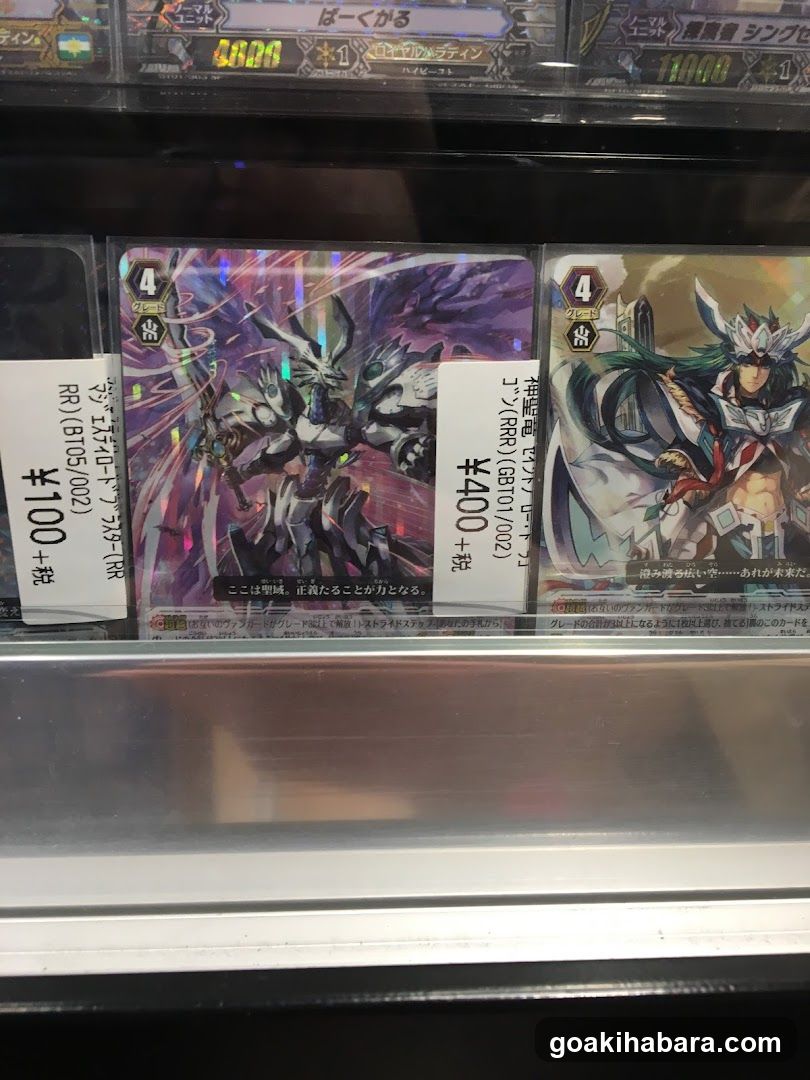 Trading Card Display Case