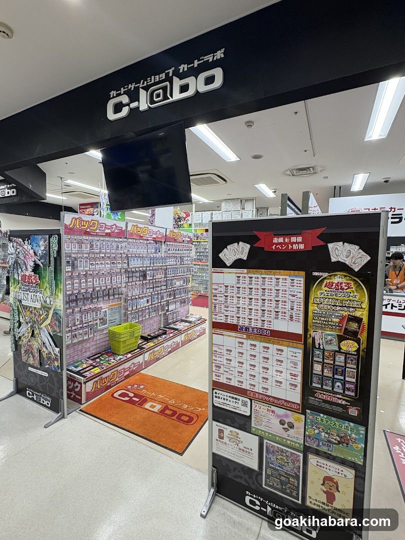 C-@bo Store Interior Display