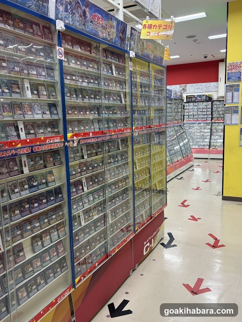 Card Game Store Interior