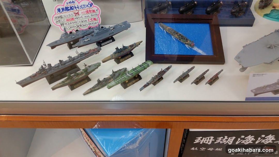Model Ship Display Case