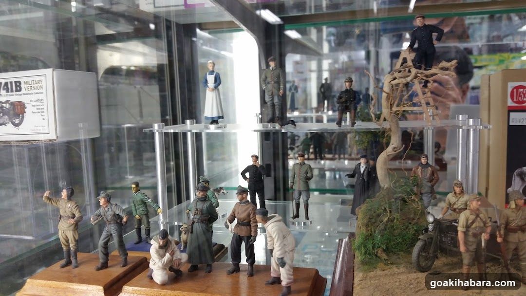 Diorama Display Case