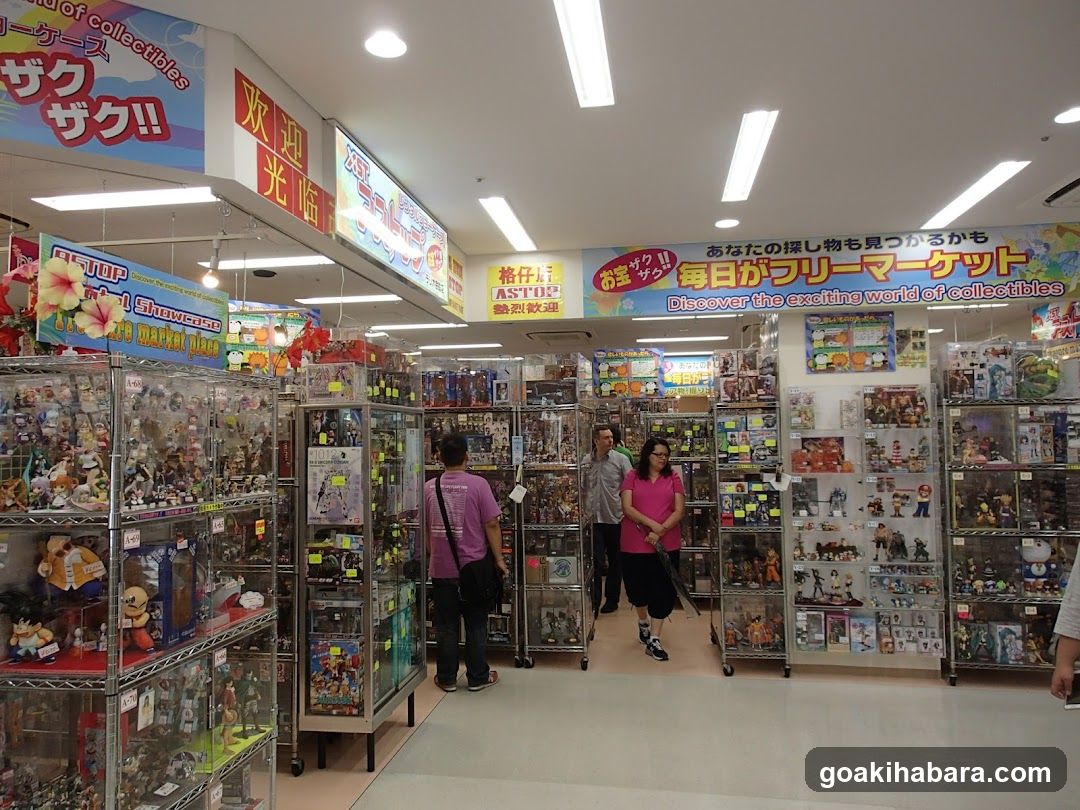 Collectibles Store Interior