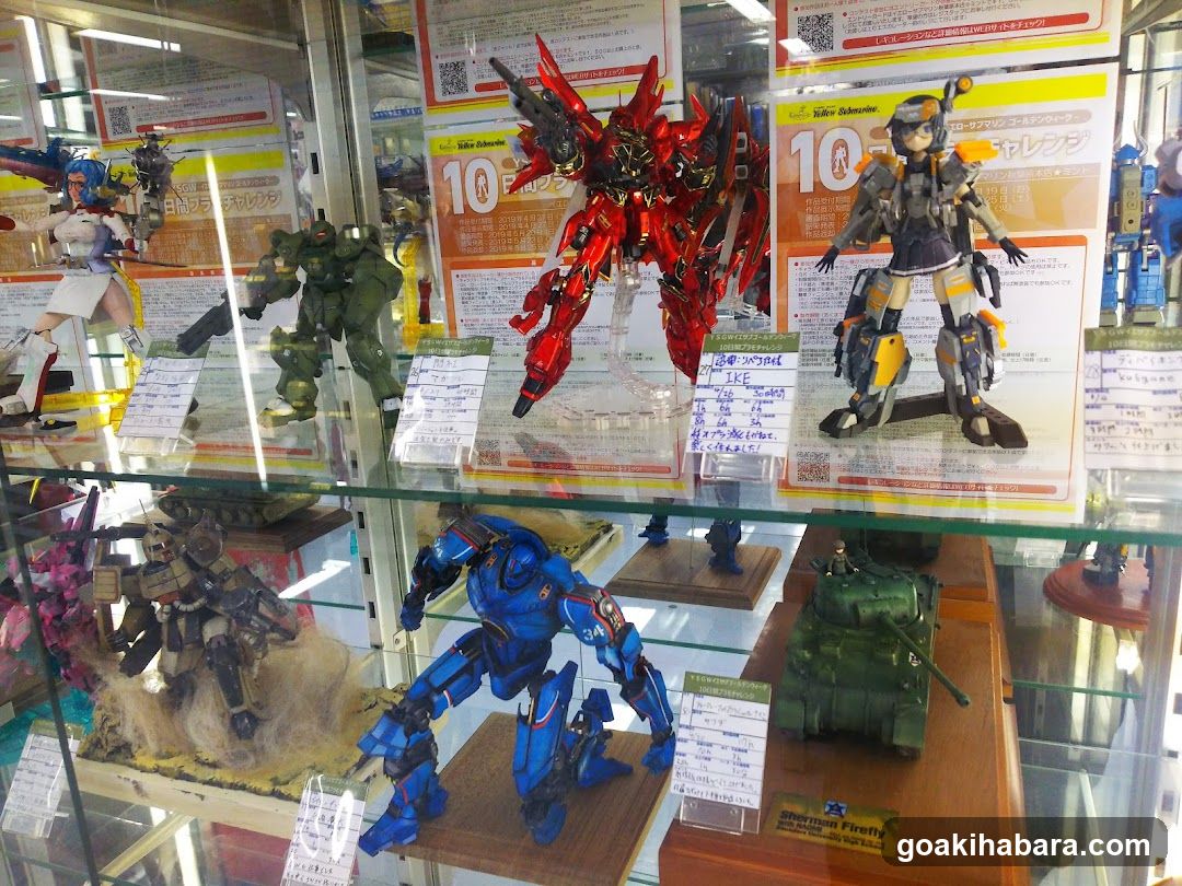 Model Display Case
