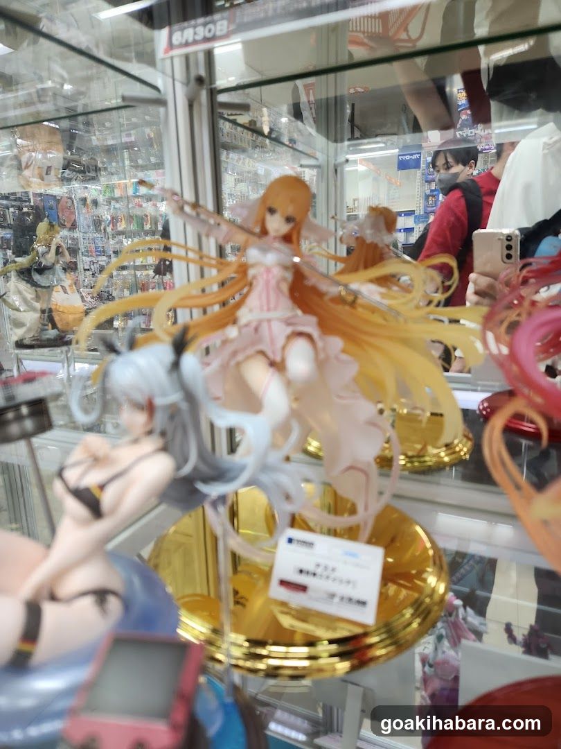 Anime Figure Display Case