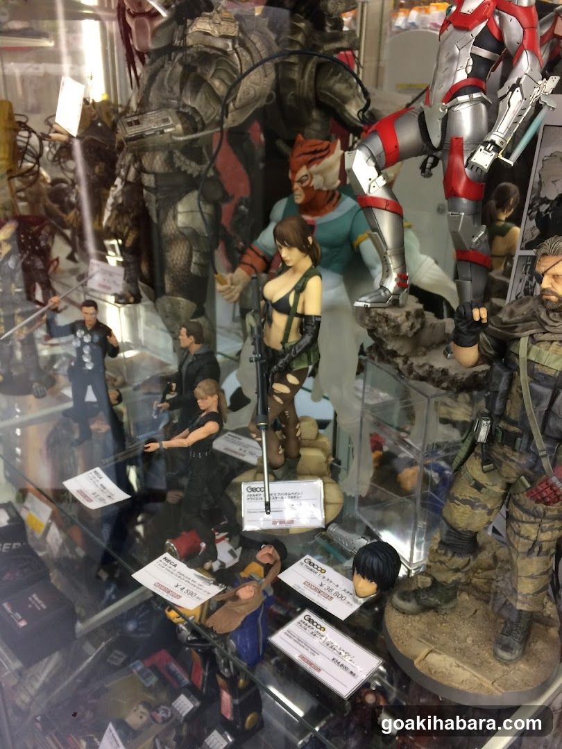 Action Figure Display Case