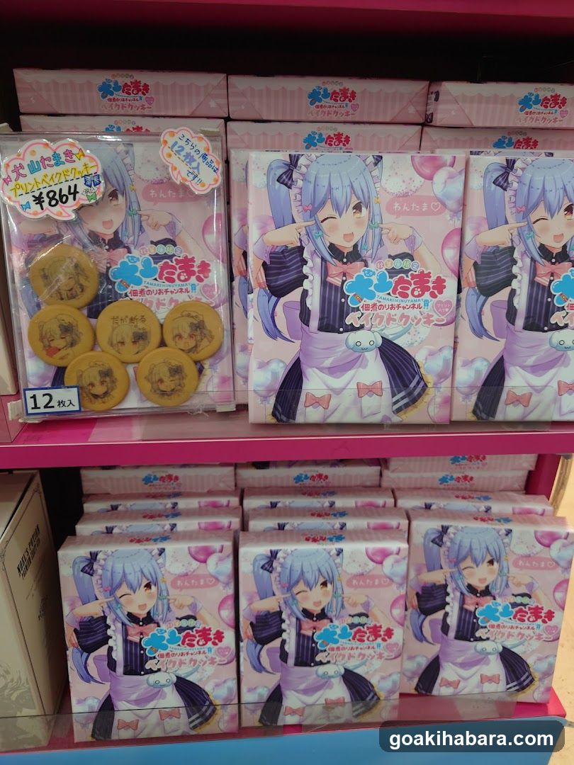 Anime Merchandise Display