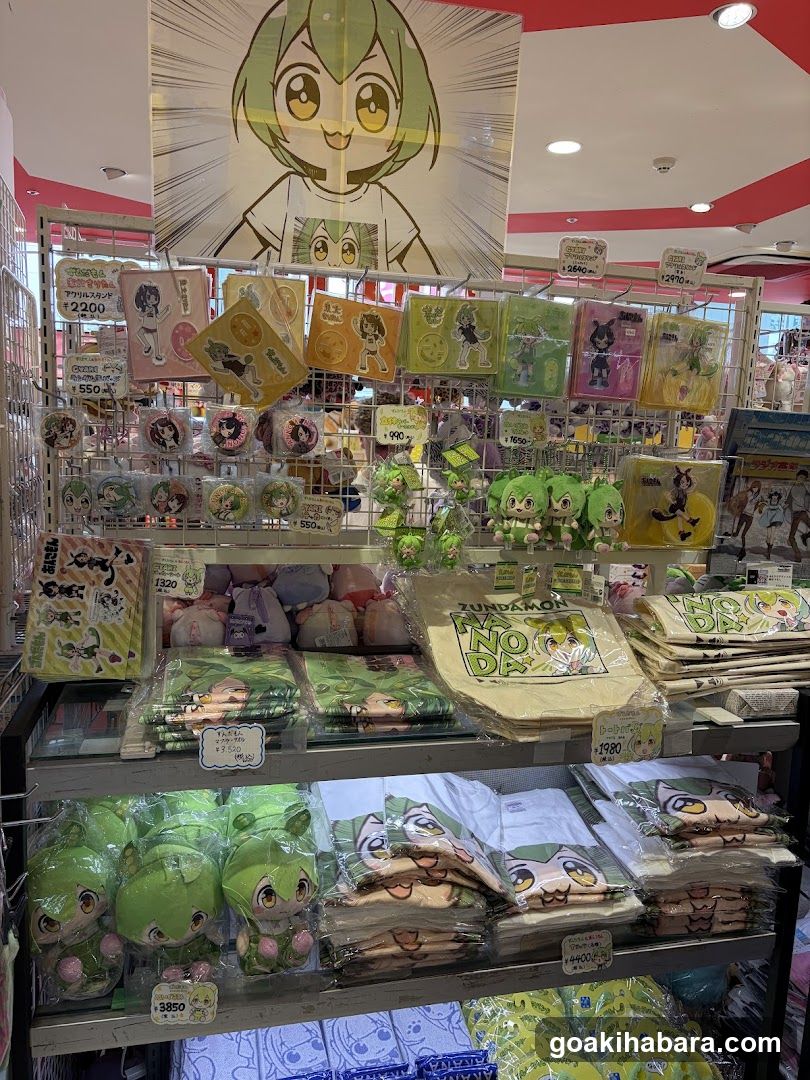 Merchandise Display Shelf