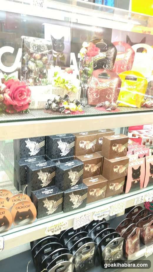 Cacao Cat Product Display