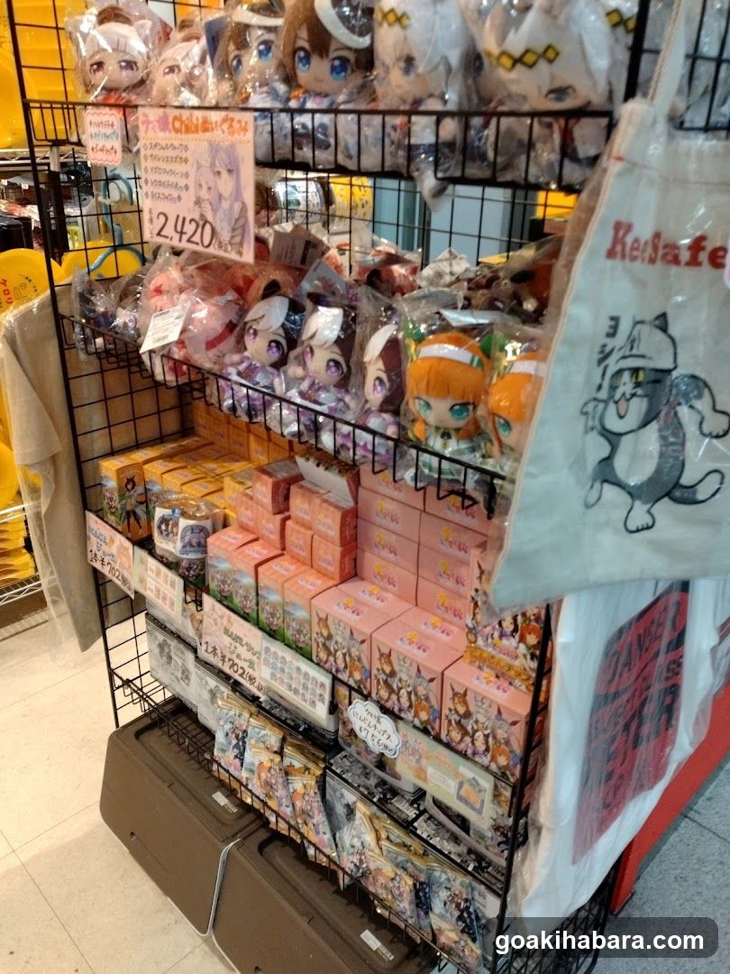 Anime Merchandise Display