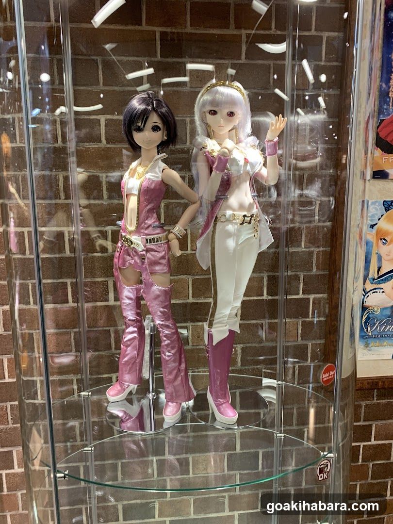 Doll Display Case