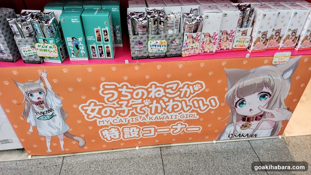 Cat-themed merchandise display
