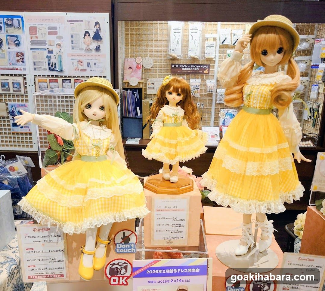 Doll Display in Store Interior