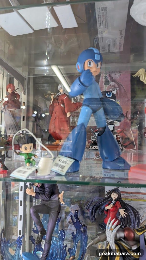 Anime Figure Display Case