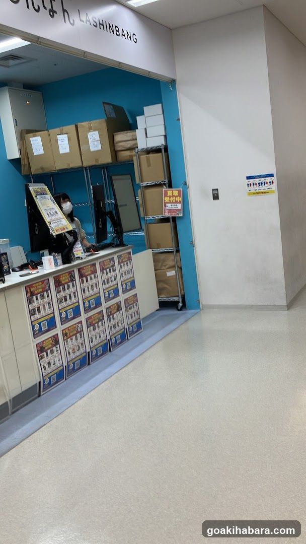 LASHINBANG Interior View