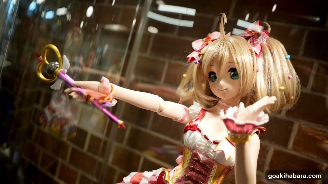 Doll Display