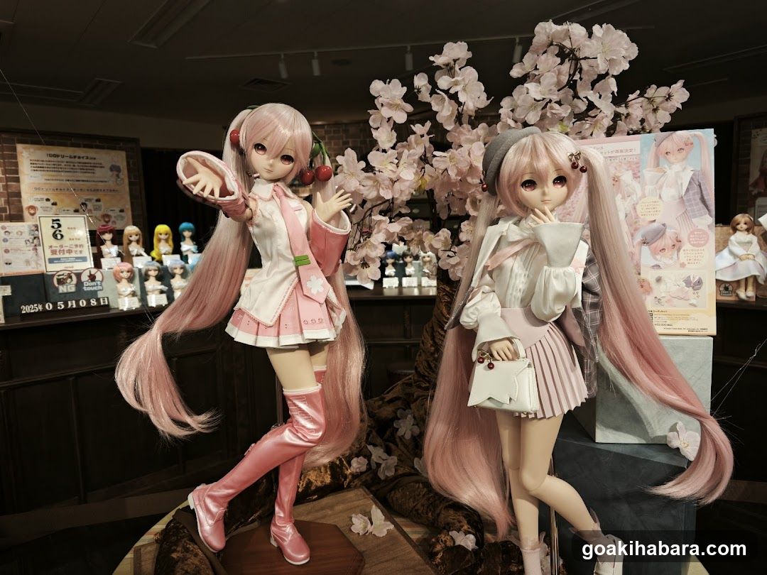 Anime Doll Display