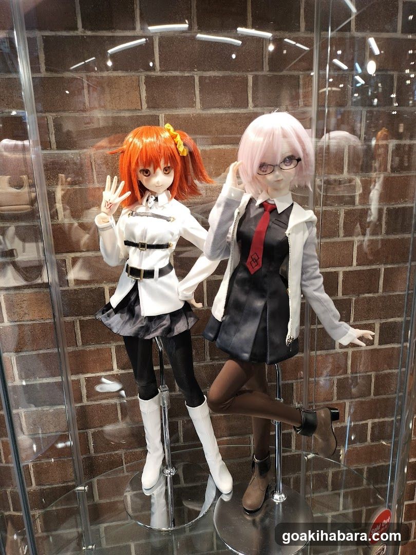 Anime Figure Display