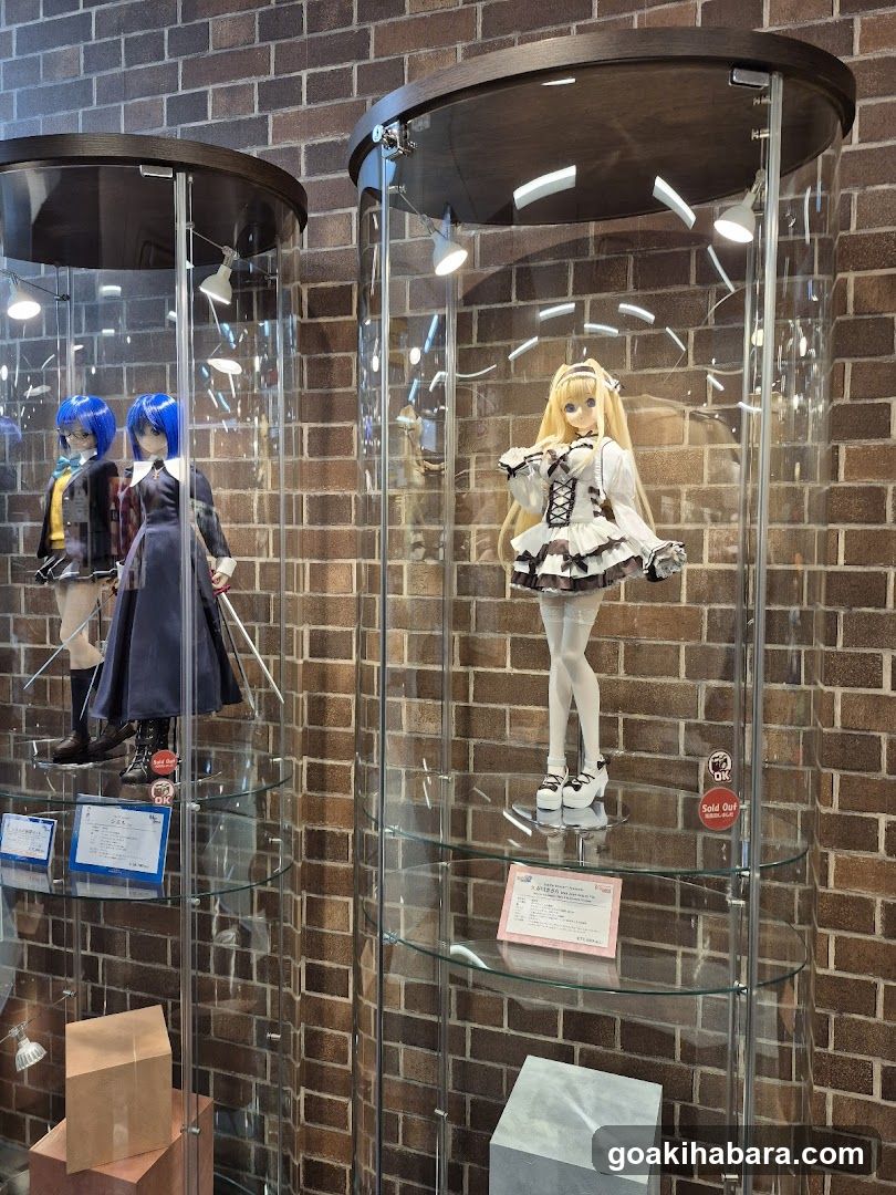 Anime Doll Display Case