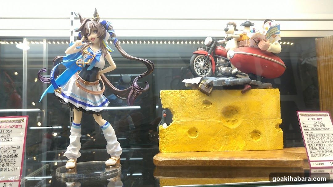 Figure Display Case