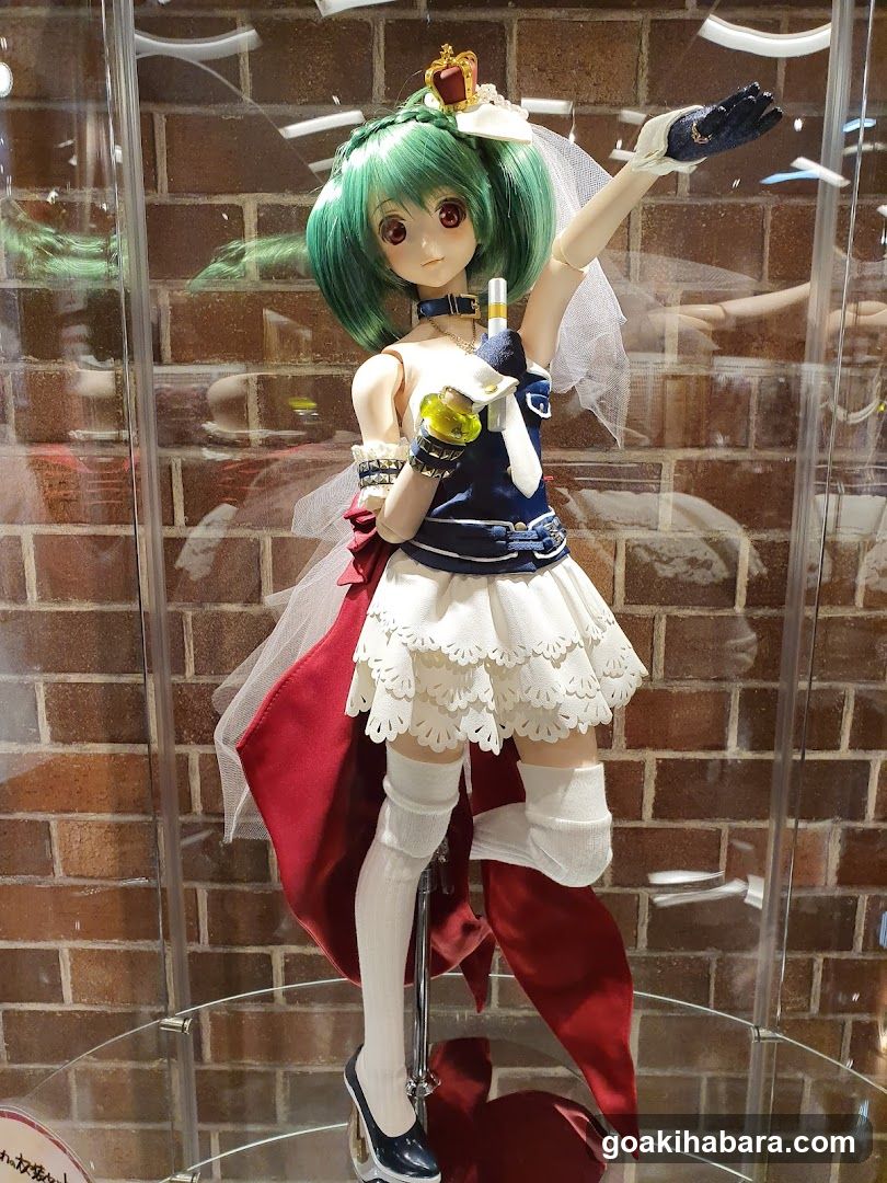 Anime Figure Display