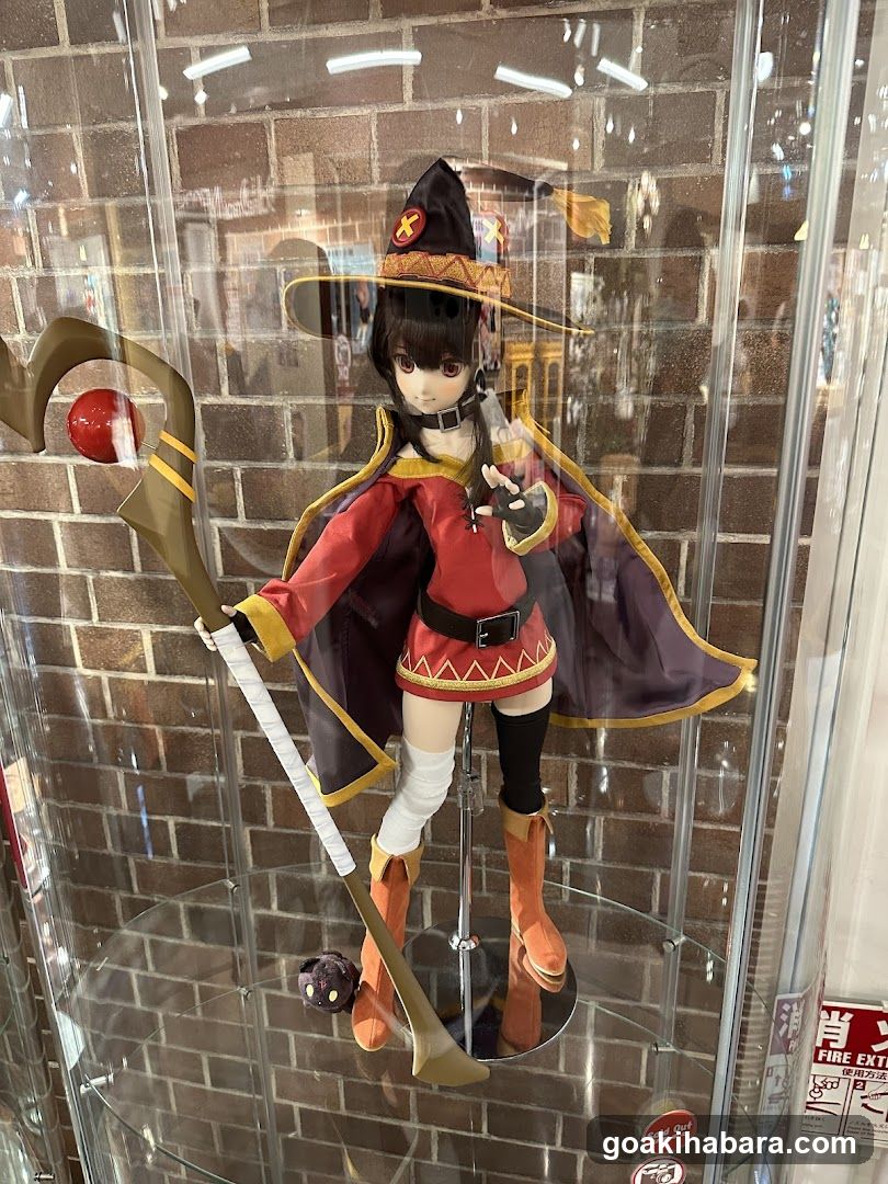 Figure display case