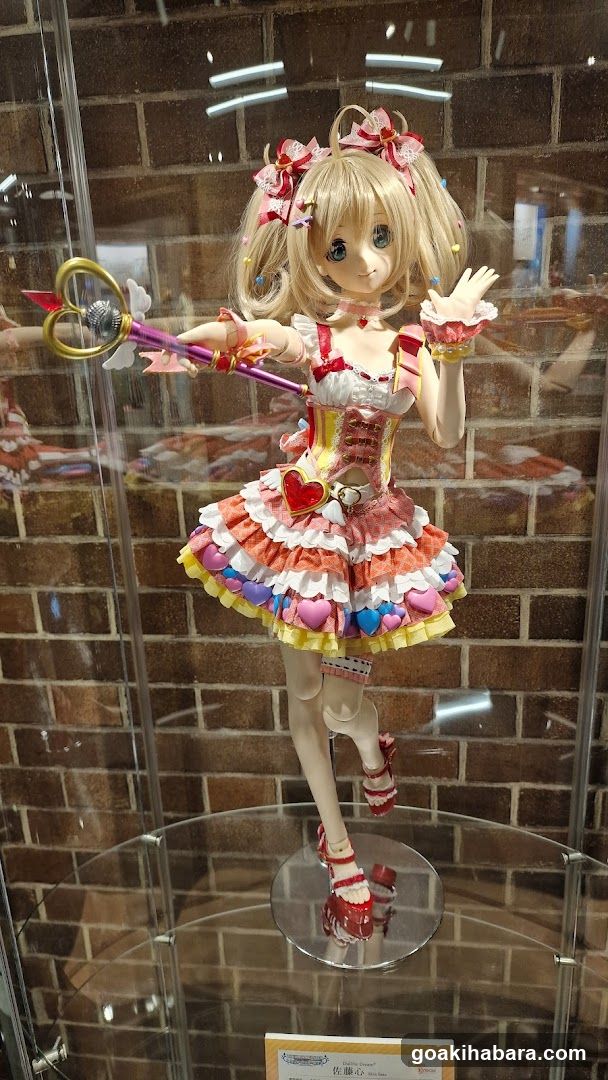 Anime Figure Display